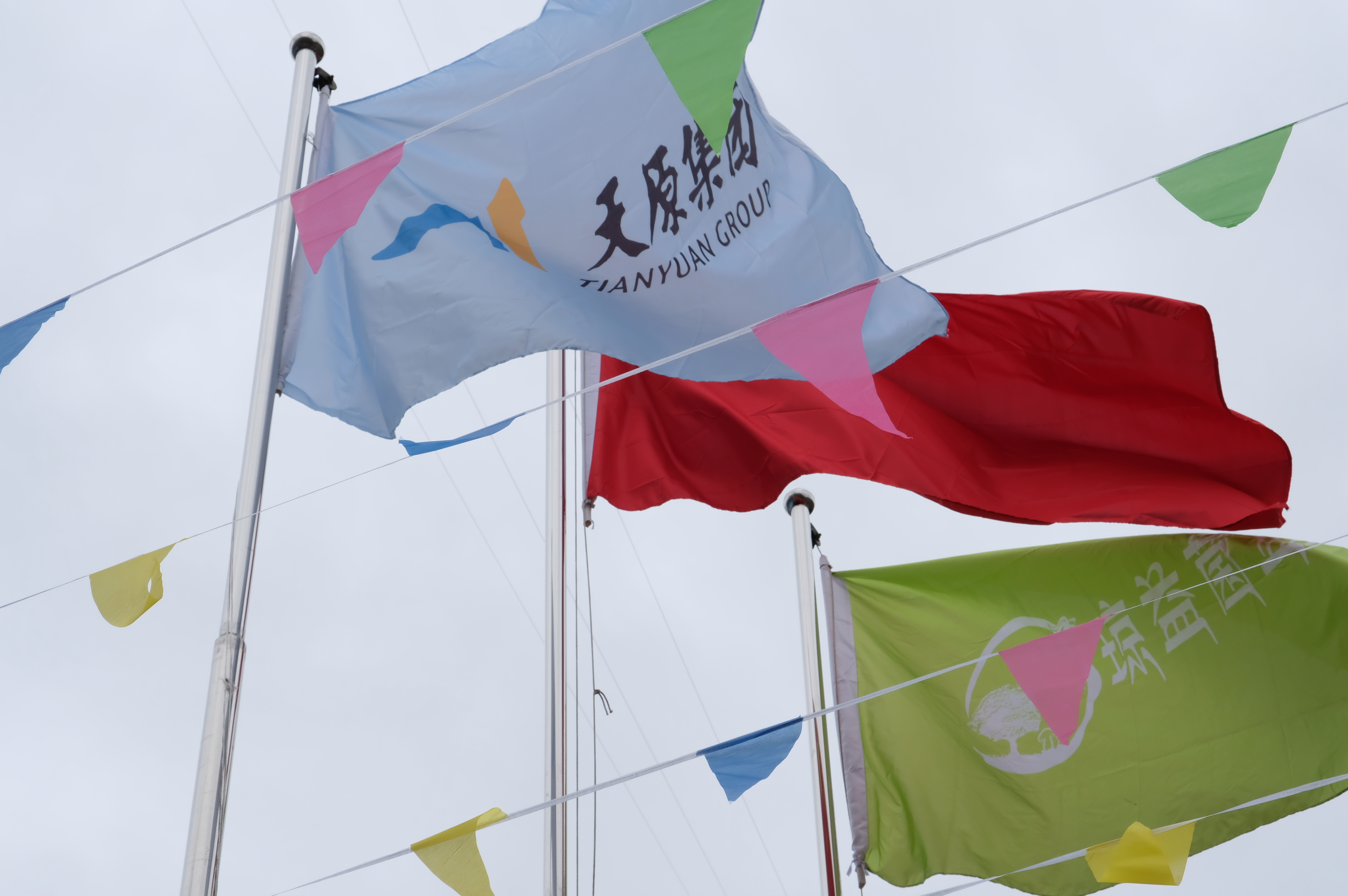 7790�ط�����(�й�)���޹�˾