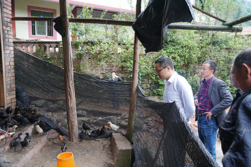 7790�ط�����(�й�)���޹�˾