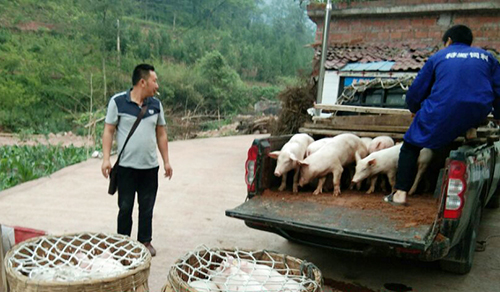 7790�ط�����(�й�)���޹�˾