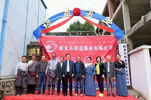 7790�ط�����(�й�)���޹�˾