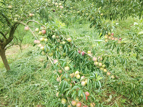 7790�ط�����(�й�)���޹�˾