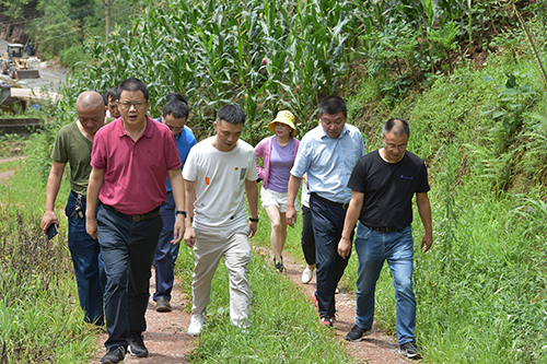 7790�ط�����(�й�)���޹�˾