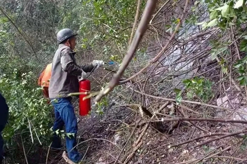 7790�ط�����(�й�)���޹�˾