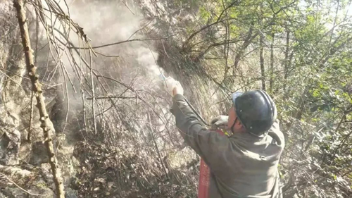 7790�ط�����(�й�)���޹�˾