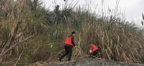 7790�ط�����(�й�)���޹�˾