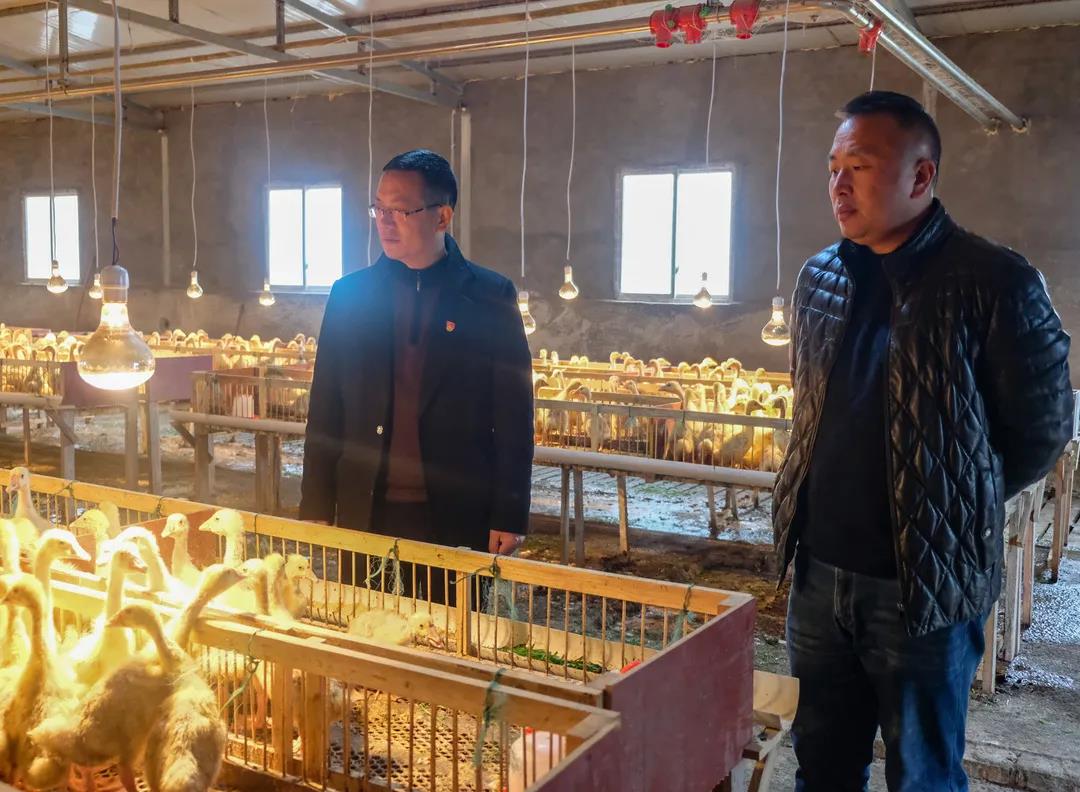 7790�ط�����(�й�)���޹�˾