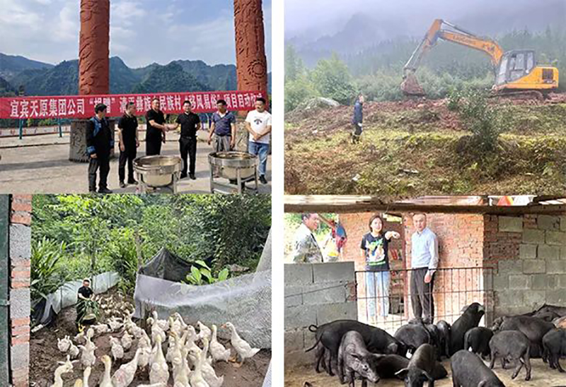 7790�ط�����(�й�)���޹�˾