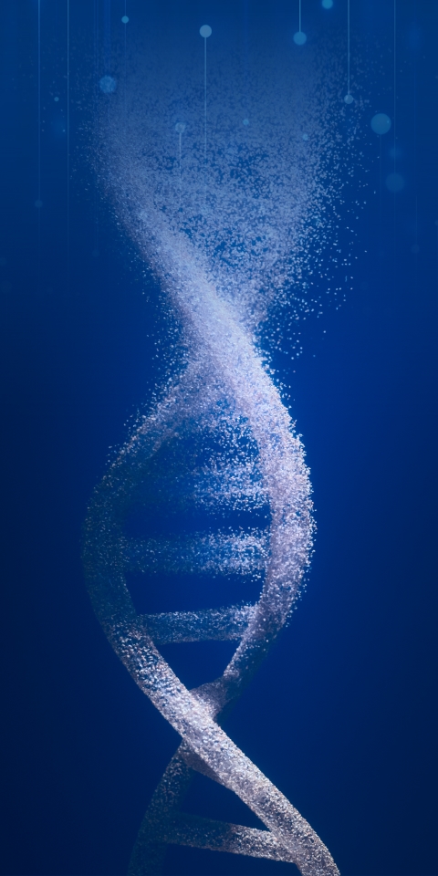 7790�ط�����(�й�)���޹�˾