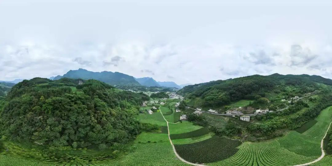 7790�ط�����(�й�)���޹�˾