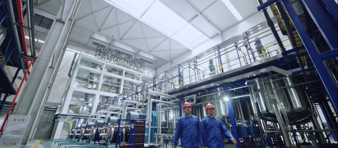 7790±Ø·¢¼¯ÍÅ(Öйú)ÓÐÏÞ¹«Ë¾